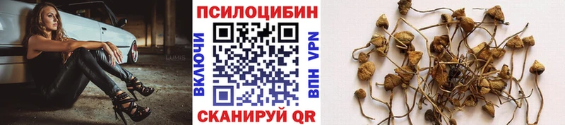 Псилоцибиновые грибы мицелий Новокузнецк