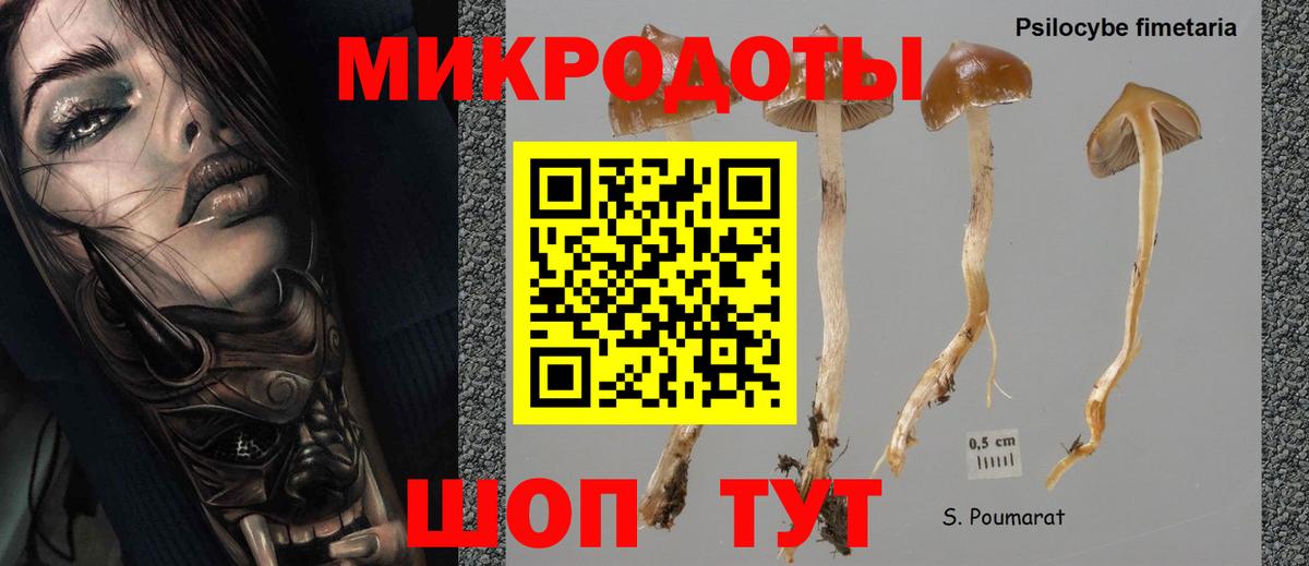 Псилоцибиновые грибы Magic Shrooms Новокузнецк